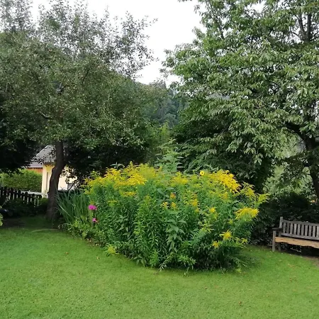 Haus Meissnitzer Apartment Taxenbach